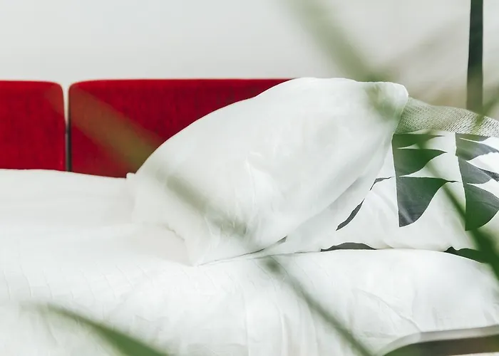 Chocolate Intercontinental *