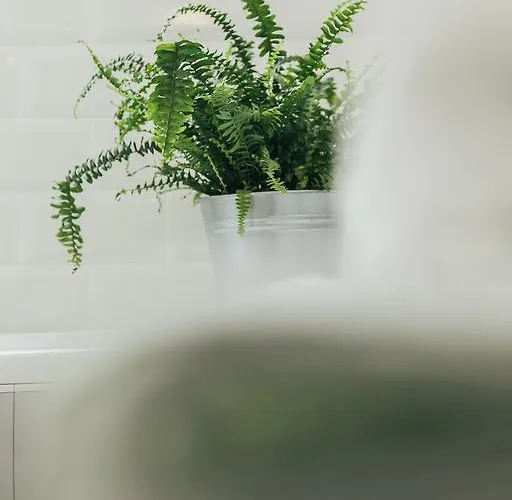 Chocolate Intercontinental Appartamento Bucarest