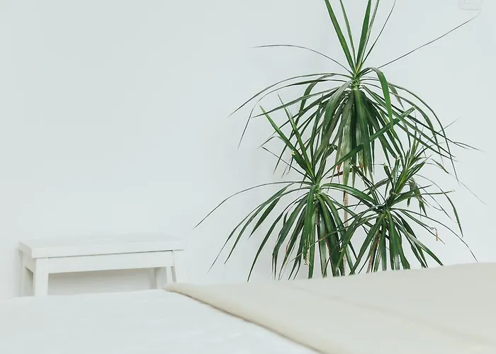 Chocolate Intercontinental *