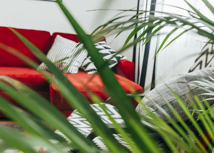 Chocolate Intercontinental *