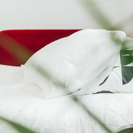 Chocolate Intercontinental *