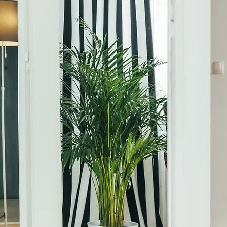 Chocolate Intercontinental Βουκουρέστι