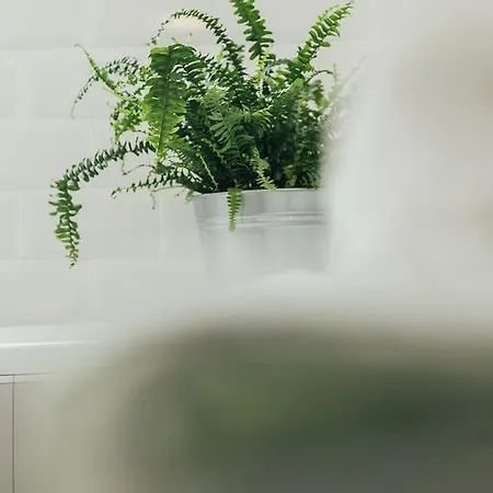 Chocolate Intercontinental Appartamento Bucarest