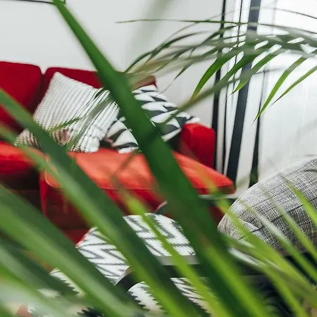 Chocolate Intercontinental *