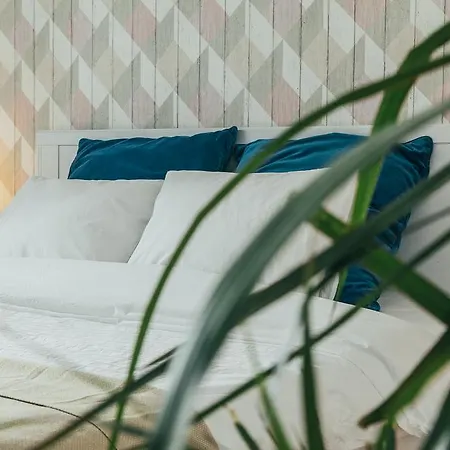 Chocolate Intercontinental Lägenhet Bukarest