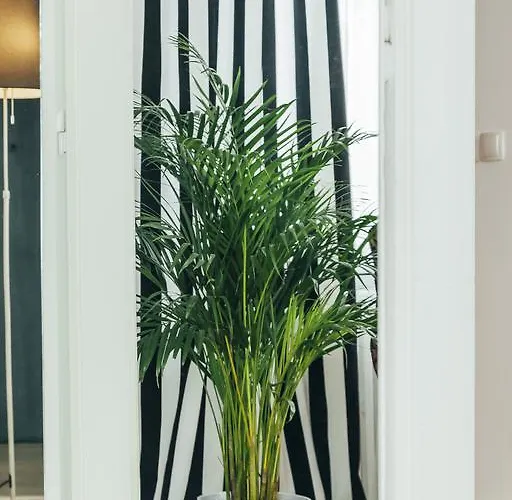 Chocolate Intercontinental Bukarest