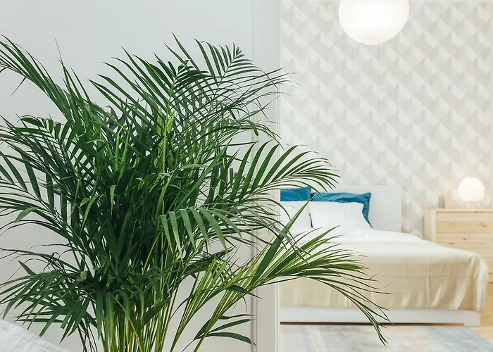 Chocolate Intercontinental Apartman *