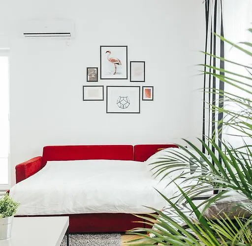 Chocolate Intercontinental * Bukarest