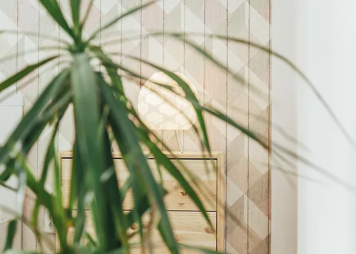 Chocolate Intercontinental