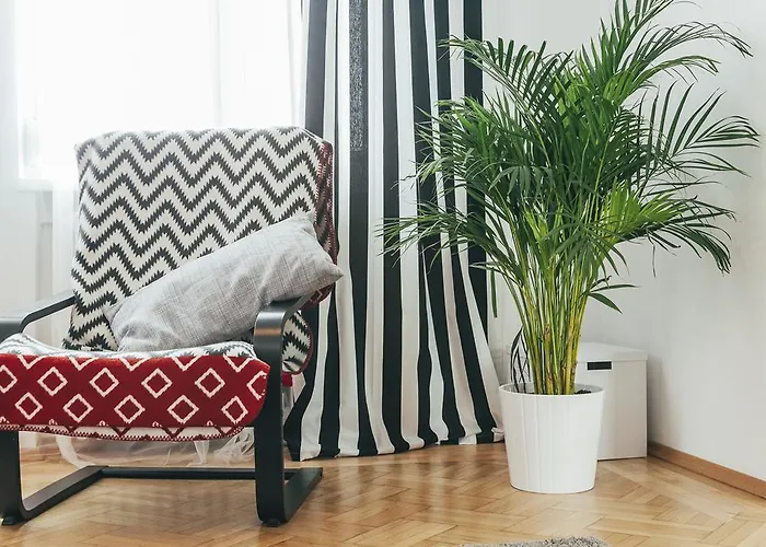 Apartment Chocolate Intercontinental *