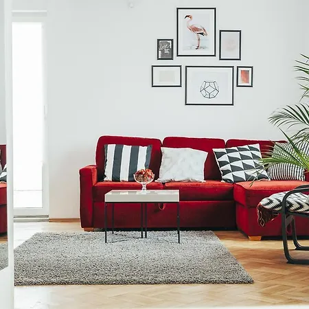 Chocolate Intercontinental