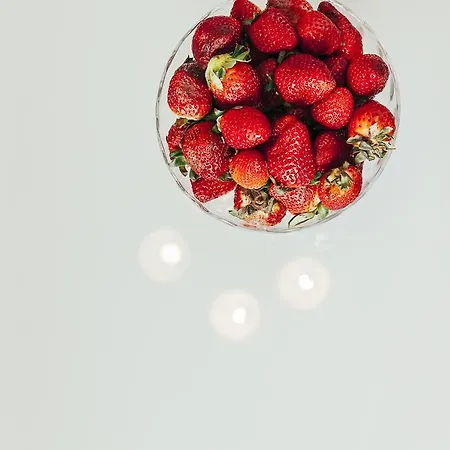 Chocolate Intercontinental