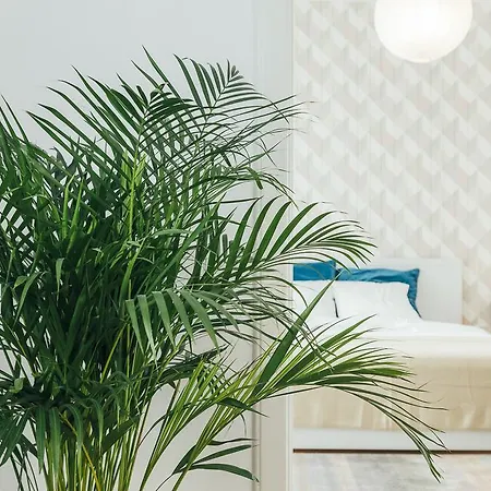 Chocolate Intercontinental Апартаменты *