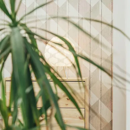 Chocolate Intercontinental