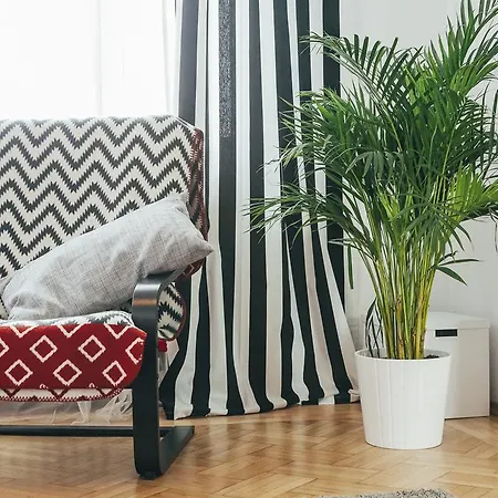 Апартаменты Chocolate Intercontinental *